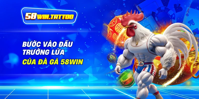 Bước Vào Đấu Trường Lửa Của Đá Gà 58Win