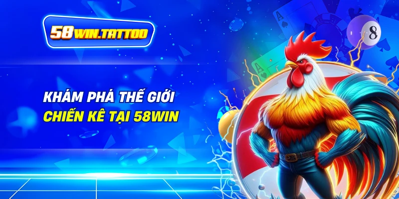 Khám Phá Thế Giới Chiến Kê Tại 58Win
